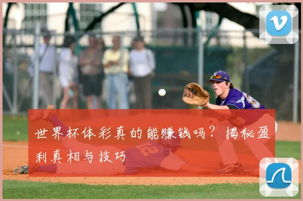 世界杯体彩真的能赚钱吗?揭秘盈利真相与技巧