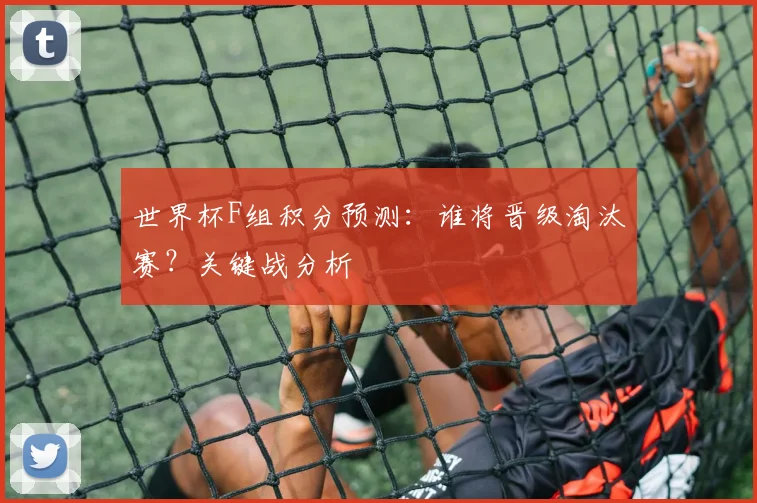 世界杯F组积分预测:谁将晋级淘汰赛?关键战分析