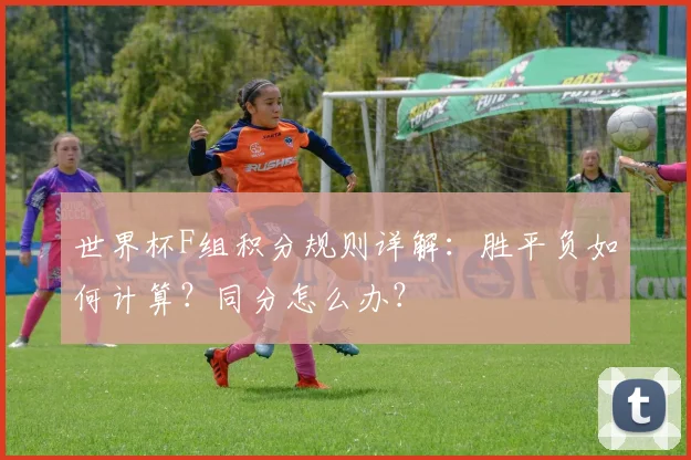 世界杯F组积分规则详解:胜平负如何计算?同分怎么办?