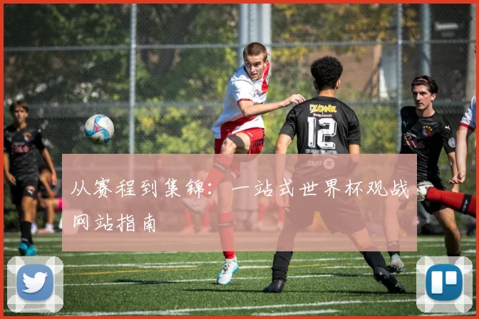从赛程到集锦:一站式世界杯观战网站指南