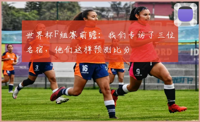 世界杯F组赛前瞻:我们专访了三位名宿,他们这样预测比分