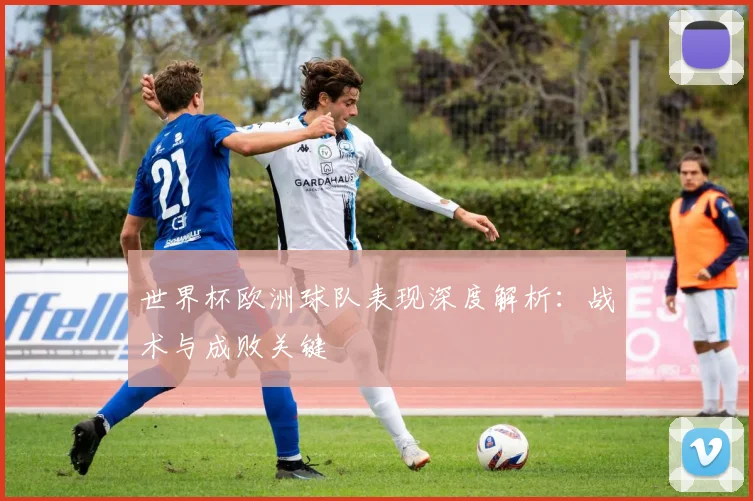 世界杯欧洲球队表现深度解析:战术与成败关键