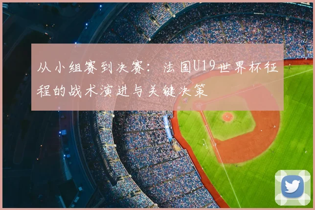 从小组赛到决赛：法国U19世界杯征程的战术演进与关键决策