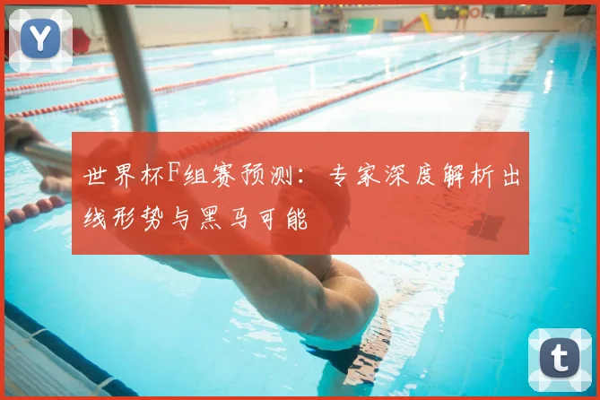世界杯F组赛预测:专家深度解析出线形势与黑马可能