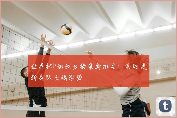 世界杯F组积分榜最新排名:实时更新各队出线形势
