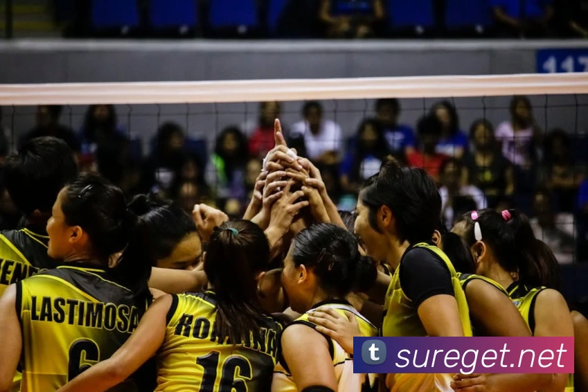 多终端兼容